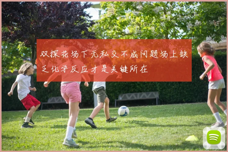 双探花场下无私交不成问题场上缺乏化学反应才是关键所在